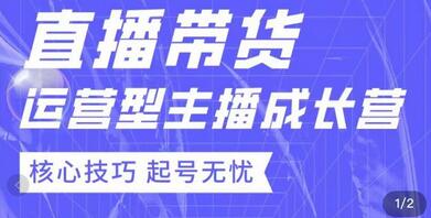 7天精通直播带货，运营型主播成长型，提升直播能力与技巧-稳赚族