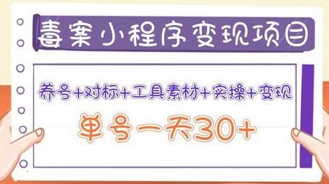 森罗万项毒案小程序变现项目：养号+对标+工具素材+实操+变现，单号一天30+-稳赚族