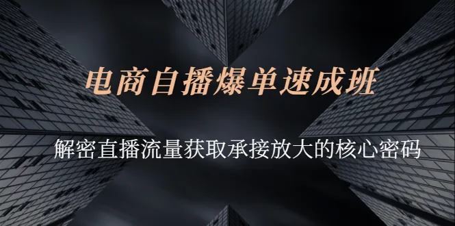 电商自播爆单速成班：解密直播流量获取承接放大的核心密码-稳赚族