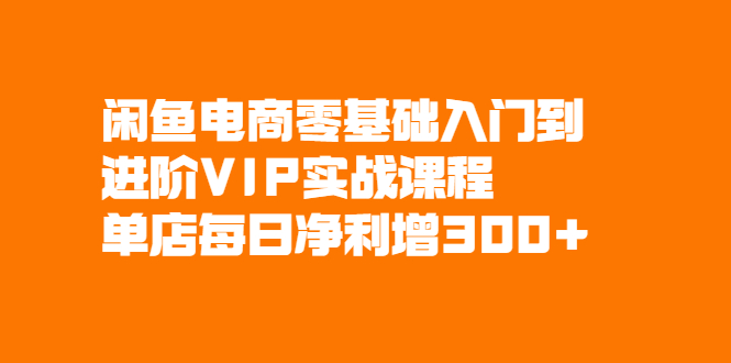 闲鱼电商零基础入门到进阶VIP实战课程，单店每日净利增300+-稳赚族