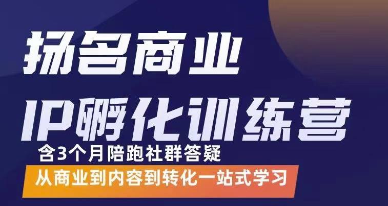 商业IP孵化训练营，从商业到内容到转化一站式学 价值5980元-稳赚族