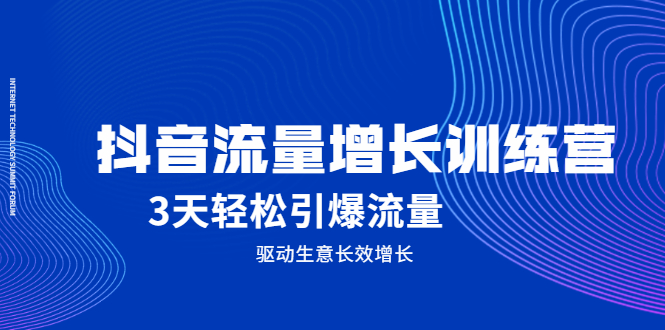 抖音流量增长训练营，3天轻松引爆流量，驱动生意长效增长-稳赚族