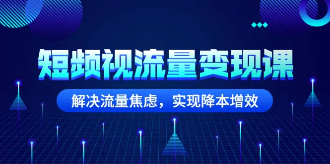 短频视流量变现课：解决流量焦虑，实现降本增效-稳赚族