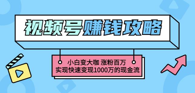 玩转微信视频号赚钱：小白变大咖涨粉百万实现快速变现1000万的现金流-稳赚族