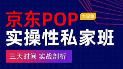 京东POP实操性私家班——大促篇，​三天时间，实战剖析-​原价4980-稳赚族