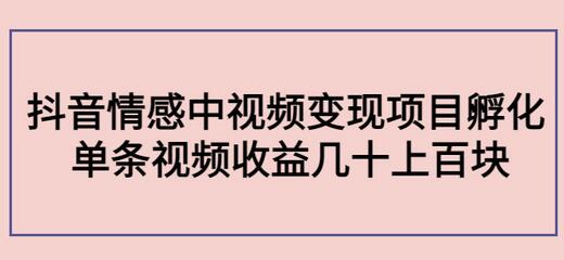 黄岛主副业孵化营第5期：抖音情感中视频变现项目孵化单条视频收益几十上百-稳赚族