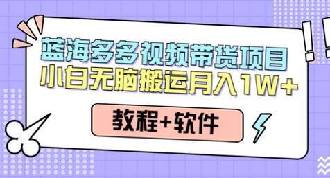 多多视频带货项目，搬运日入过万，0成本，轻松实现躺赚（教程+软件）-稳赚族