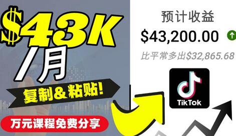 2022抖音国际版Tiktok赚钱项目：每天上传一个视频就轻松月入$43200-稳赚族