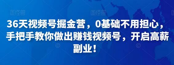 36天视频号掘金营，0基础不用担心，手把手教你做出赚钱视频号，开启高薪副业！-稳赚族