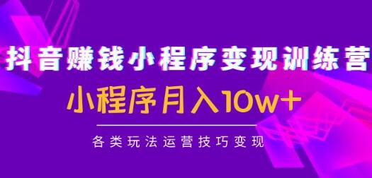 抖音赚钱小程序变现训练营：小程序月入10w+各类玩法运营技巧变现-稳赚族