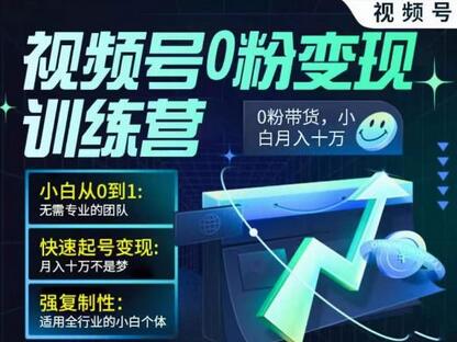 视频号0粉变现训练营，小白从0到1，快速起号变现，月入十万不是梦-稳赚族