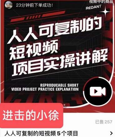 进击的小徐·人人可复制的短视频5个项目，实操讲解年销售额八位数级别项目-稳赚族