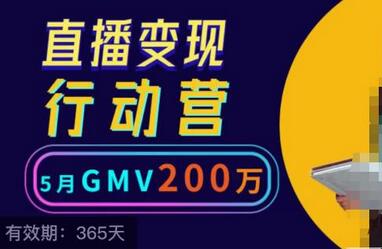 视频号直播变现行动营21讲，普通人在视频号直播快速变现-稳赚族