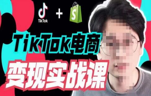 TikTok电商学长Ethan·TikTok电商变现实战课，TikTok运营+Shopify独立站运营+TikTok广告投放-稳赚族