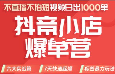 推易电商·2022年抖音小店爆单营【更新11月】，不直播，不拍短视频，日出1000单-稳赚族