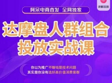 阿呆电商·达摩盘人群组合投放实战课，你以为推广不赚钱是技术问题，其实是你没有选好高价值消费客群-稳赚族