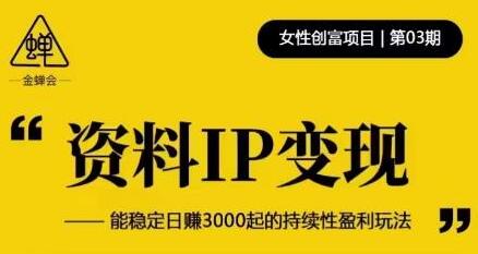 资料IP变现，能稳定日赚3000起的持续性盈利玩法-稳赚族