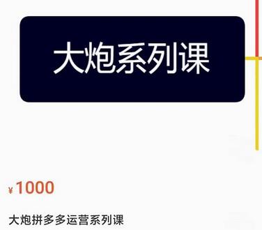 大炮拼多多运营系列课，各类​玩法合集，拼多多运营玩法实操-稳赚族