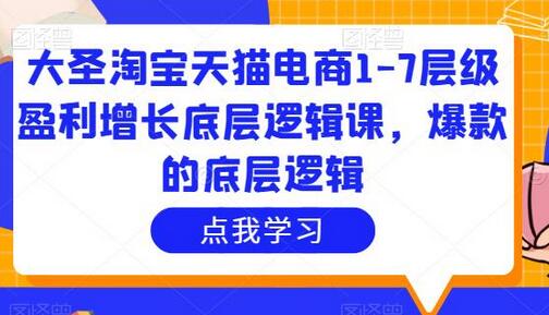 大圣淘宝天猫电商1-7层级盈利增长底层逻辑课，爆款的底层逻辑-稳赚族