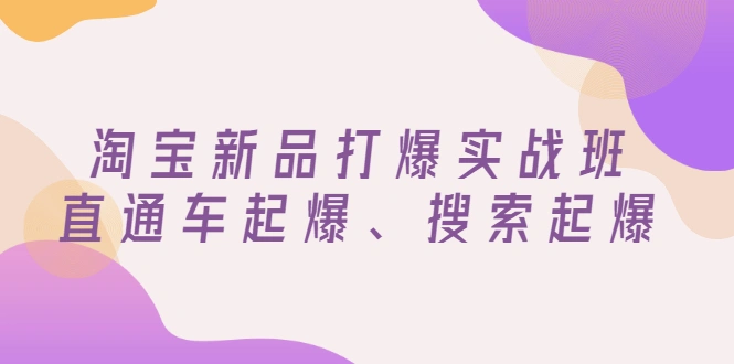 淘宝新品打爆实战班，直通车起爆、搜索起爆（价值599元）-稳赚族