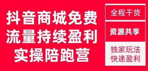 抖音商城搜索持续盈利陪跑成长营，抖音商城搜索从0-1、从1到10的全面解决方案-稳赚族