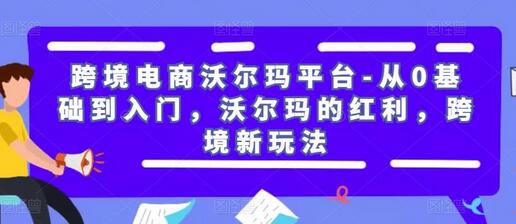 跨境电商沃尔玛平台-从0基础到入门，沃尔玛的红利，跨境新玩法-稳赚族