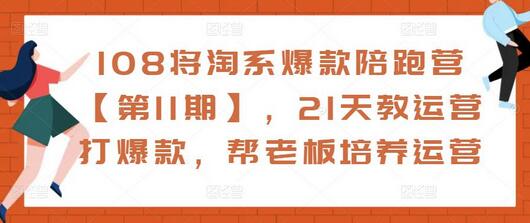 108将淘系爆款陪跑营【第11期】，21天教运营打爆款，帮老板培养运营-稳赚族