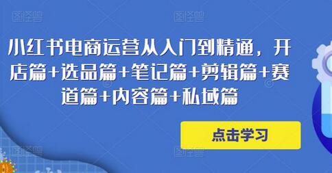 小红书电商运营从入门到精通，开店篇+选品篇+笔记篇+剪辑篇+赛道篇+内容篇+私域篇-稳赚族