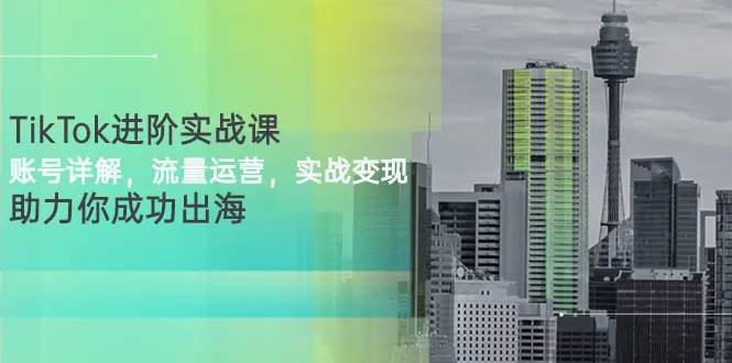 TikTok进阶实战课：账号详解，流量运营，实战变现，助力你成功出海-稳赚族