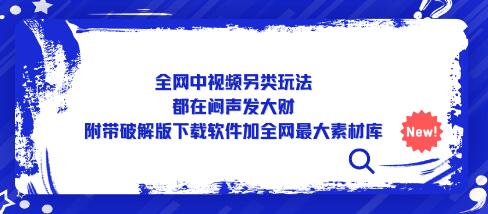 全网中视频另类玩法，都在闷声发大财，附带下载软件加全网最大素材库-稳赚族