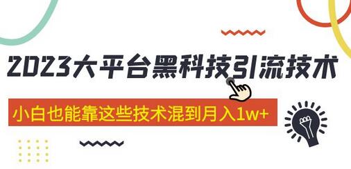 价值4899的大平台黑科技引流技术 小白也能靠这些技术混到月入1w+29节课(2022年的课程）-稳赚族