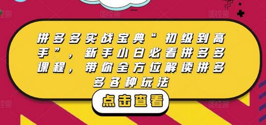 拼多多实战宝典“初级到高手”，新手小白必看拼多多课程，带你全方位解读拼多多各种玩法-稳赚族