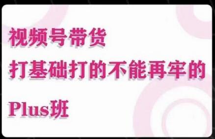 大播汇·视频号带货Puls班，视频号底层逻辑，起号自然流鱼塘等玩法-稳赚族