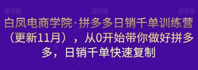 白凤电商学院·拼多多日销千单训练营，从0开始带你做好拼多多，日销千单快速复制（更新知2023年3月）-稳赚族