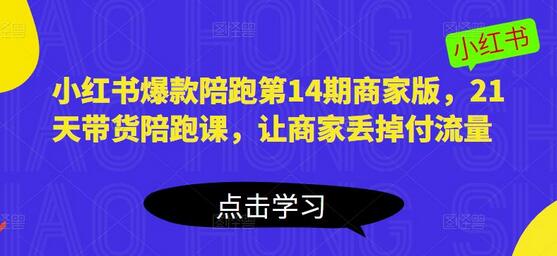 小红书爆款陪跑第14期商家版，21天带货陪跑课，让商家丢掉付流量-稳赚族