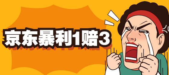 京东暴利一赔三，单号可下车1W+，新号基本稳下（仅供揭秘）-稳赚族