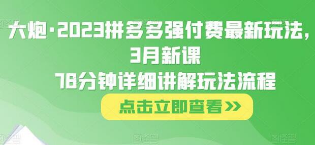 大炮·2023拼多多强付费最新玩法，3月新课​78分钟详细讲解玩法流程-稳赚族