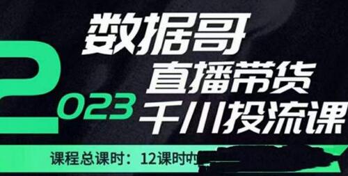 数据哥2023直播电商巨量千川付费投流实操课，快速掌握直播带货运营投放策略-稳赚族