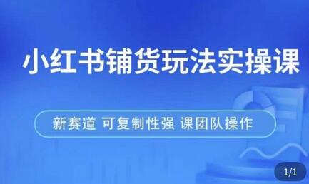 小红书铺货玩法实操课，流量大，竞争小，非常好做，新赛道，可复制性强，可团队操作-稳赚族