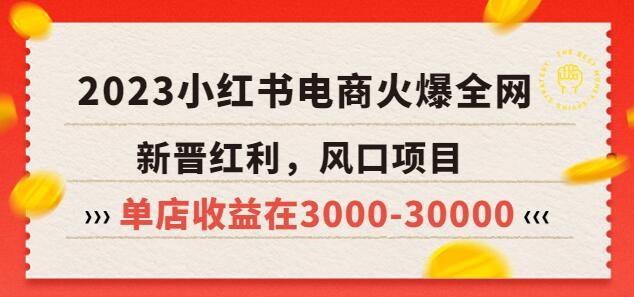 2023小红书电商火爆全网，新晋红利，风口项目，单店收益在3000-30000！-稳赚族