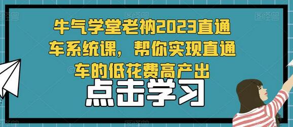 牛气学堂老衲2023直通车系统课，帮你实现直通车的低花费高产出-稳赚族