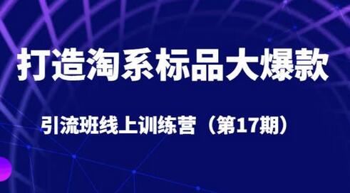 打造淘系标品大爆款引流班线上训练营（第17期）5天直播授课-稳赚族