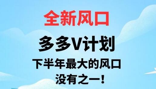 全新风口，多多V计划，下半年最大的风口项目，没有之一-稳赚族