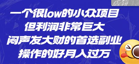 一个很low的小众项目，但利润非常巨大，闷声发大财的首选副业，月入过万-稳赚族