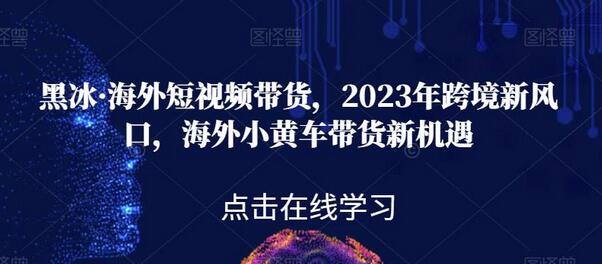 黑冰·海外短视频带货，2023年跨境新风口，海外小黄车带货新机遇-稳赚族