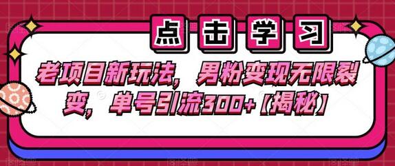 老项目新玩法，男粉变现无限裂变，单号引流300+-稳赚族