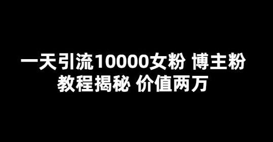 一天引流10000女粉，博主粉教程揭秘（价值两万）-稳赚族