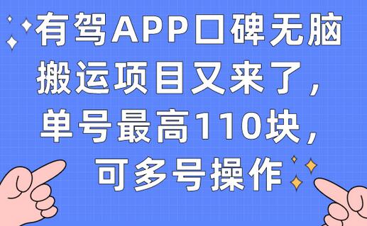 有驾APP口碑无脑搬运项目又来了，单号最高110块，可多号操作-稳赚族