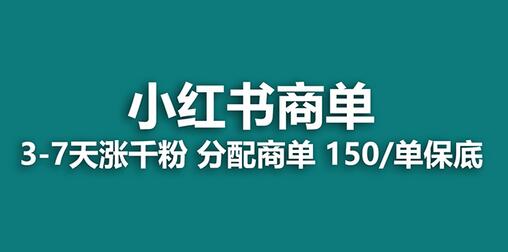 【蓝海项目】2023最强蓝海项目，小红书商单项目，没有之一！-稳赚族