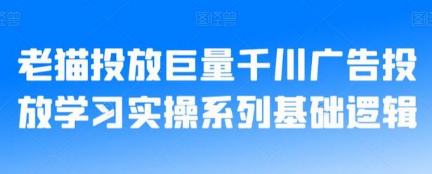 老猫投放巨量千川广告投放学习实操系列基础逻辑-稳赚族